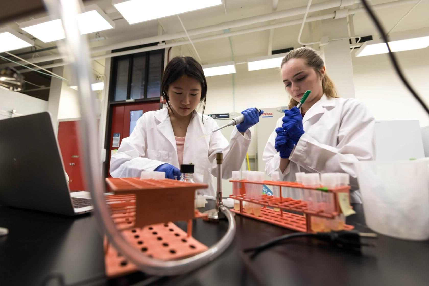 Two students working together and holding test tubes in a University of Rochester lab.